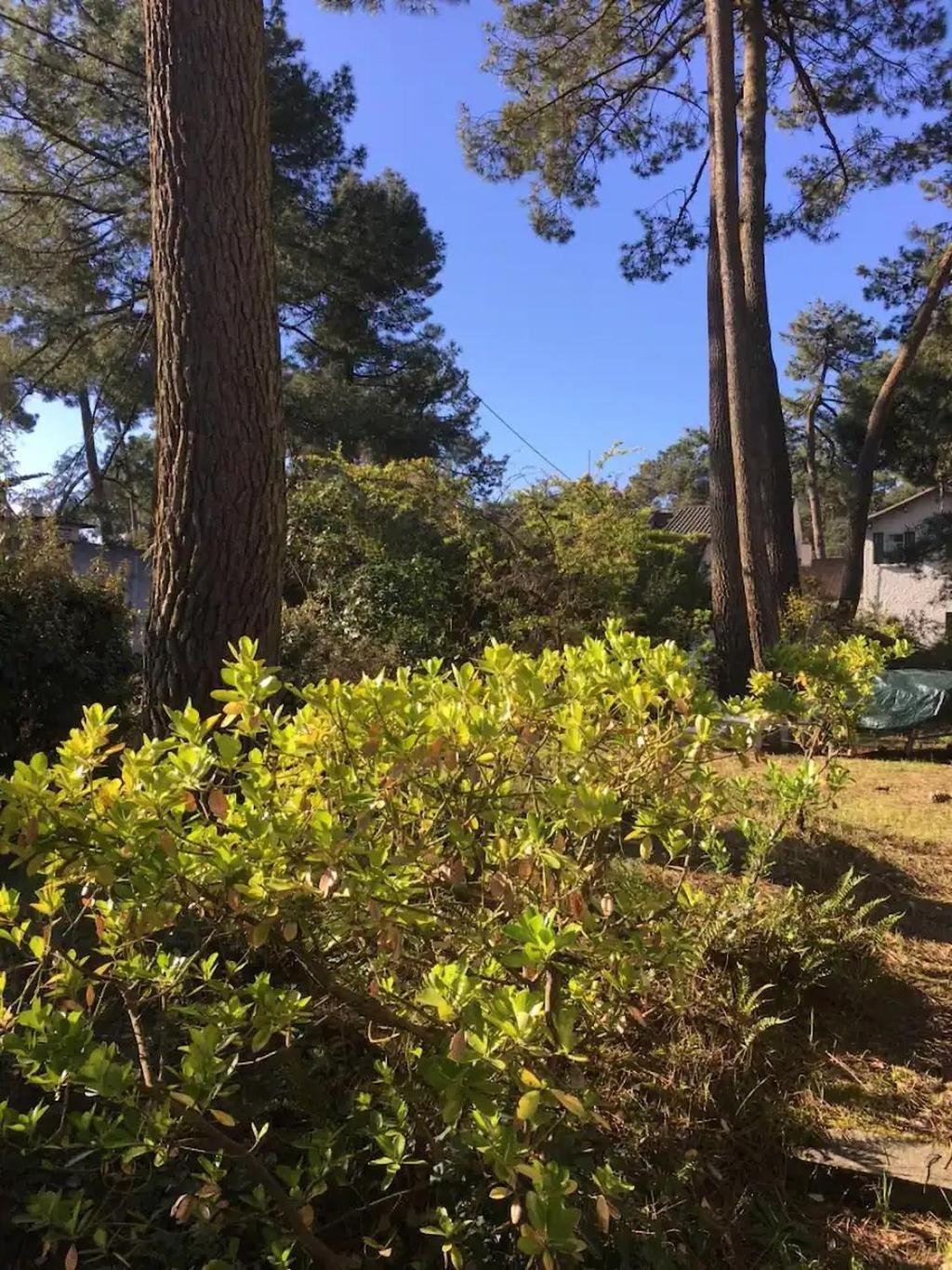 Villa L'Herbaudiere - La Baule Les Pins Екстериор снимка